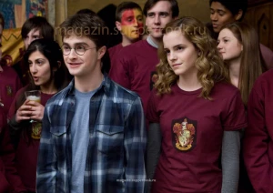 Вафельная картинка "Гарри Поттер №43"