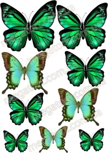 Вафельная картинка "Бабочки зеленые №32"