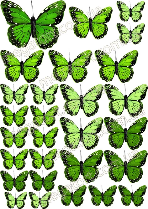 Вафельна картинка "Метелики салатові №34"