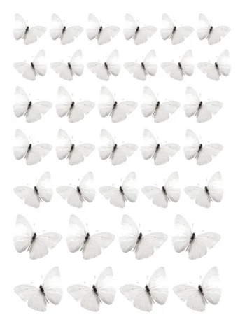 Вафельная картинка "Бабочки №46"
