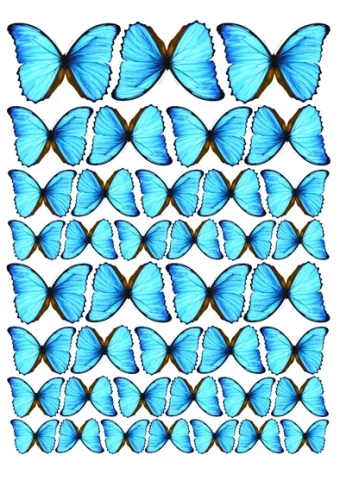 Вафельная картинка "Бабочки №62"