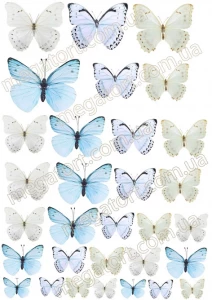 Вафельная картинка "Бабочки нежные №77"