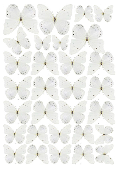 Вафельная картинка "Бабочки №10"