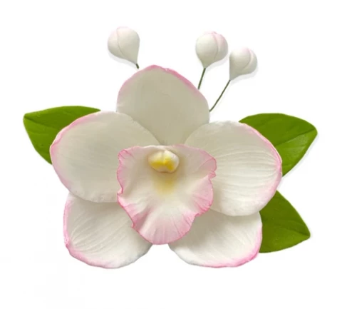 Цукрова прикраса Орхідея з листочками біла тонована