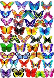 Вафельная картинка "Бабочки разоцветные №14"