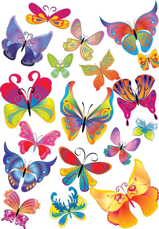 Вафельна картинка "Метелики №16"