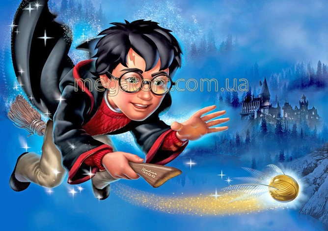 Вафельная картинка "Гарри Поттер №6"