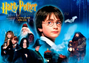 Вафельная картинка "Гарри Поттер №20"