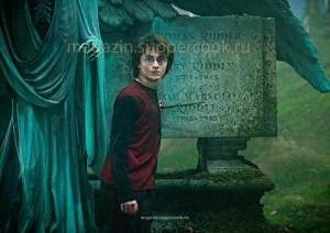 Вафельная картинка "Гарри Поттер №21"