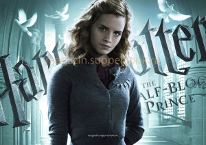 Вафельная картинка "Гарри Поттер №23"