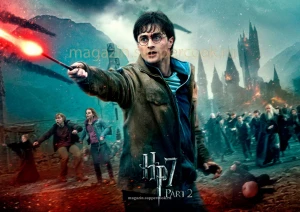 Вафельная картинка "Гарри Поттер №24"