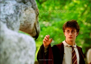 Вафельная картинка "Гарри Поттер №28"