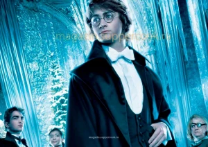 Вафельная картинка "Гарри Поттер №33"