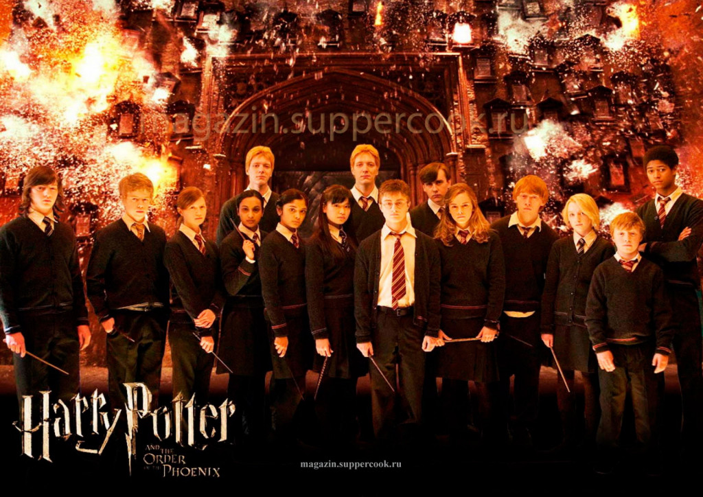 Вафельная картинка "Гарри Поттер №40"