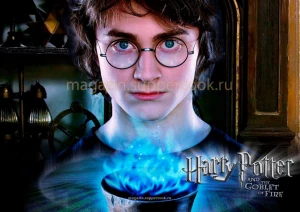 Вафельная картинка "Гарри Поттер №41"