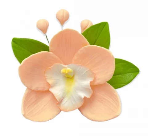 Цукрова прикраса Орхідея з листочками персикова