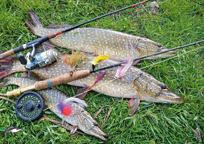 Вафельная картинка "Для мужчин №3"