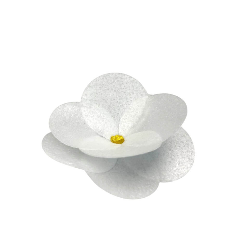 Вафельный цветок Камелия белая