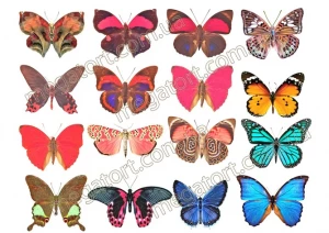 Вафельная картинка "Бабочки №18"