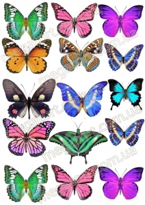 Вафельная картинка "Бабочки №21"