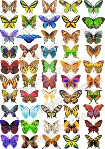 Вафельная картинка "Бабочки разные№22"