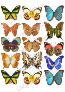Вафельная картинка "Бабочки №30"