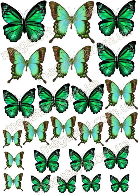 Вафельна картинка "Метелики зелені №31"