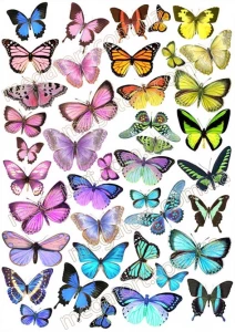 Вафельная картинка "Бабочки №33"