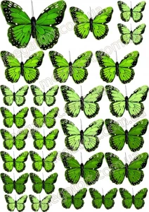 Вафельная картинка "Бабочки салатовые №34"