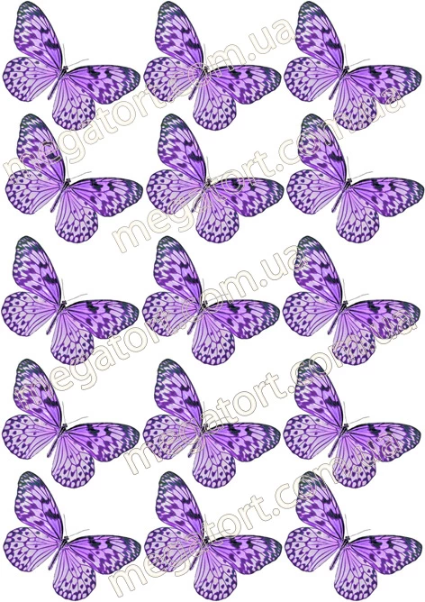 Вафельна картинка "Метелики №37"