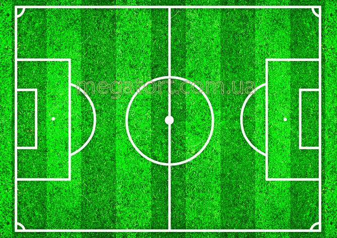 Вафельная картинка "Футбольное поле №5"