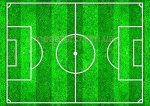 Вафельная картинка "Футбольное поле №5"