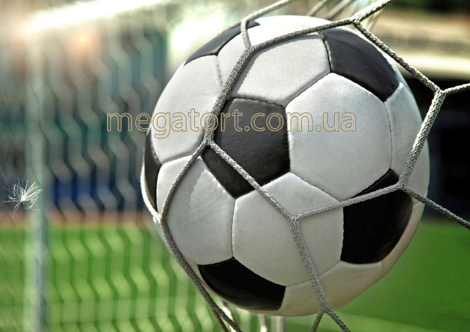 Вафельная картинка "Гол №16"