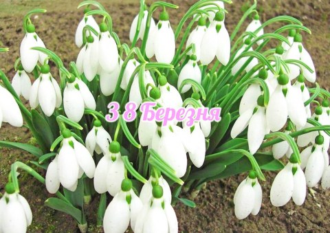 Вафельна картинка "8 Березня №13"