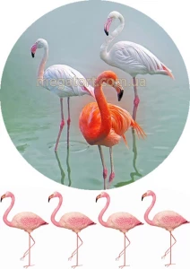 Вафельная картинка "Фламинго №6"