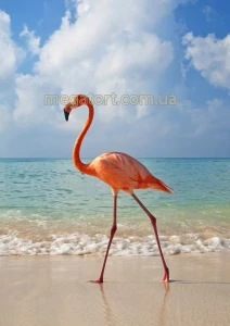 Вафельная картинка "Фламинго №10"