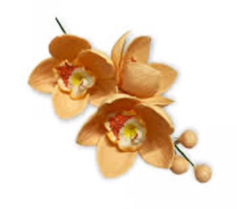 Цукрова прикраса Гілочка орхідеї персикова