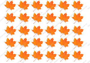Вафельная картинка для топперов и пряников Кленовые листья