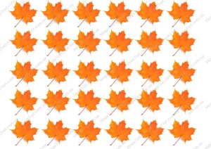 Вафельная картинка для топперов и пряников Кленовые листья