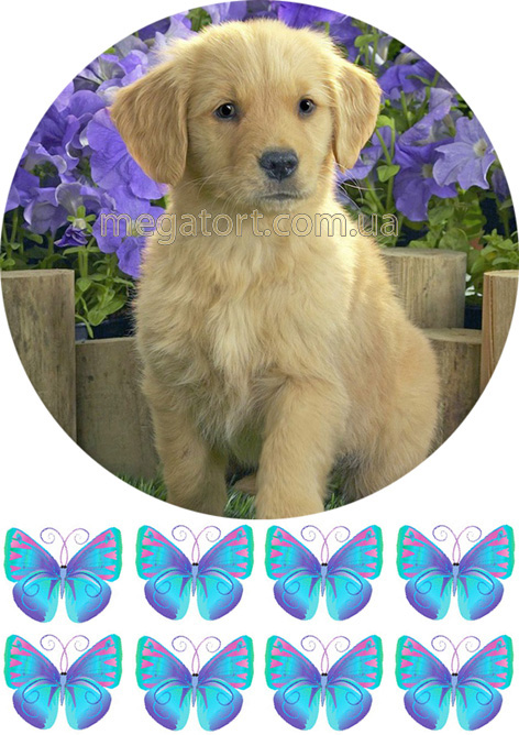 Вафельна картинка "Цуценя" №6"