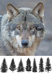 Вафельная картинка "Волк №12"
