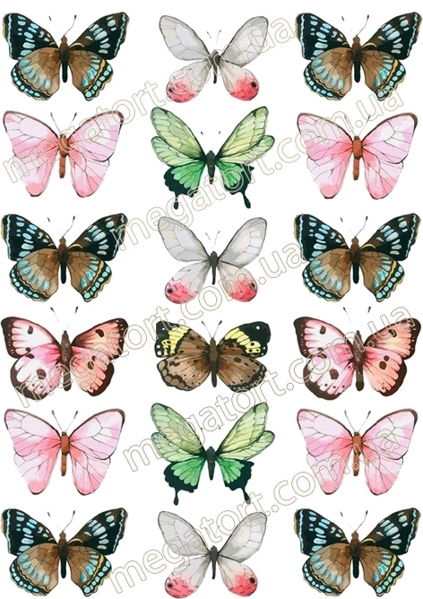 Вафельна картинка "Метелики №58"