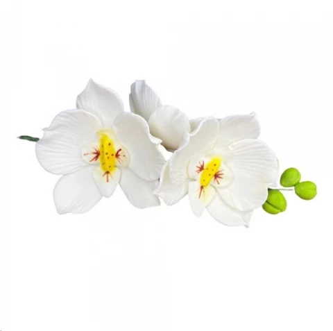 Цукрова прикраса Гілочка орхідеї біла преміум