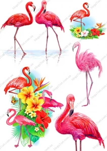 Вафельная картинка для топперов и пряников Фламинго в цветах