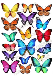 Вафельная картинка "Бабочки яркие №74"