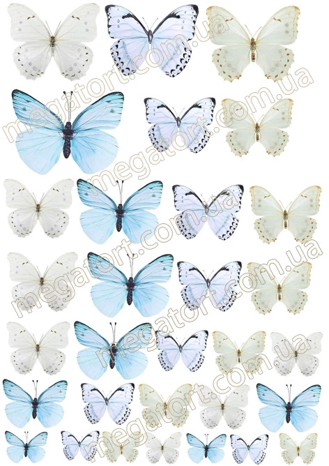 Вафельна картинка "Метелики ніжні №77"